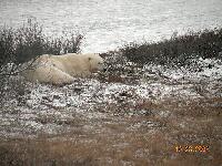 DSCN0156.JPG