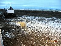 DSCN0208.JPG