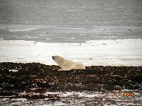 DSCN0249.JPG