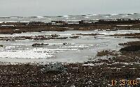 DSCN0290.JPG
