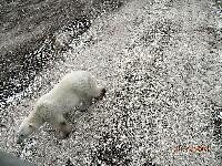 DSCN0381.JPG