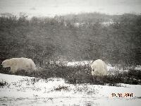 DSCN0499.JPG