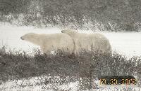DSCN0511.JPG