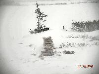 DSCN0533.JPG