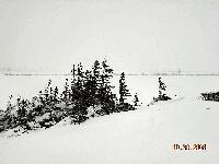 DSCN0534.JPG