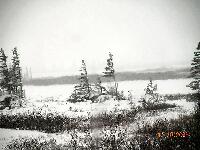 DSCN0550.JPG