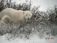 DSCN0582.JPG