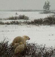 DSCN0585.JPG