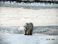 DSCN0625.JPG