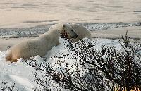 DSCN0633.JPG