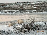 DSCN0638.JPG