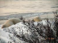 DSCN0645.JPG