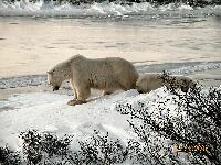DSCN0648.JPG