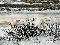 DSCN0654.JPG
