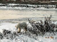 DSCN0655.JPG