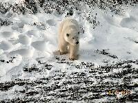 DSCN0656.JPG