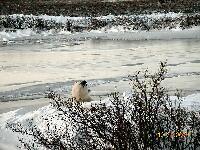 DSCN0659.JPG