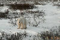 DSCN0663.JPG