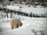 DSCN0669.JPG