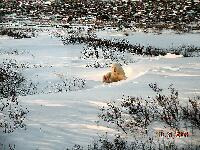 DSCN0675.JPG