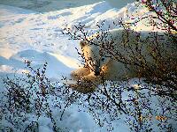 DSCN0690.JPG