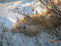 DSCN0693.JPG
