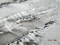 DSCN0705.JPG