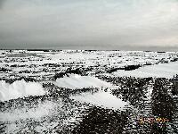 DSCN0714.JPG