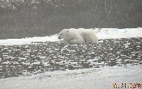 DSCN0722.JPG