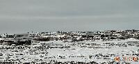 DSCN0726.JPG