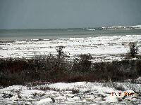 DSCN0728.JPG