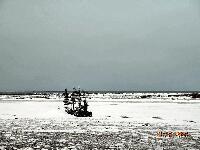 DSCN0730.JPG