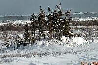 DSCN0745.JPG