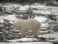 DSCN0758.JPG