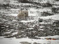 DSCN0760.JPG