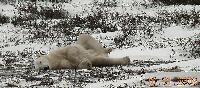 DSCN0763.JPG