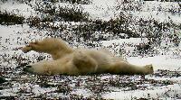 DSCN0765.JPG