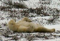 DSCN0766.JPG