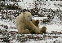 DSCN0773.JPG