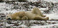 DSCN0775.JPG