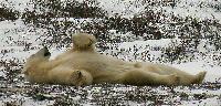 DSCN0777.JPG