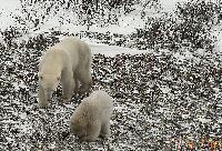 DSCN0784.JPG