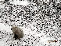 DSCN0785.JPG