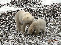 DSCN0789.JPG