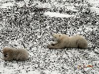 DSCN0796.JPG