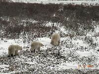 DSCN0801.JPG