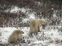 DSCN0803.JPG