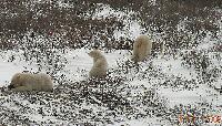 DSCN0806.JPG
