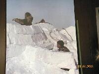 DSCN0817.JPG