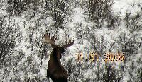DSCN0848.JPG